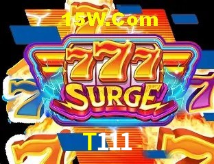 Sistemas de Segurança T111
